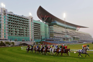 緑豊かな競馬場で、多くの競走馬とジョッキーが激しいレースを繰り広げている様子