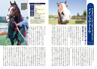 メイショウドトウ