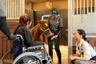 ホースセラピーの様子