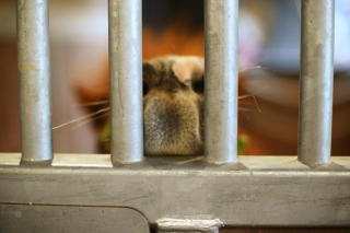 見上愛さんが撮影した馬の鼻