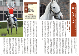 ゴールドシップ