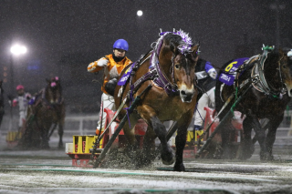 ばんえい競馬の様子