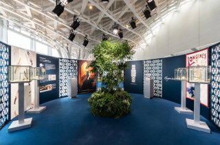 アーカイブ展会場の様子