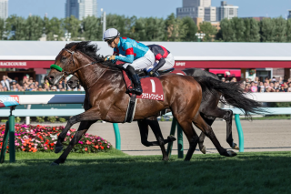 競馬場で疾走する競走馬