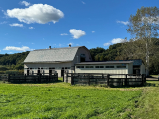 青い空と白い雲の下、広々とした緑の牧草地が広がり、その奥には大きな納屋と小さな建物