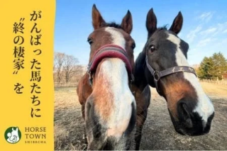 がんばった馬たちに終の棲家を