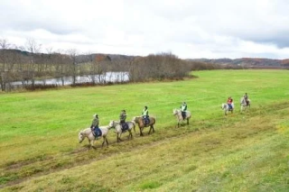 草原での乗馬